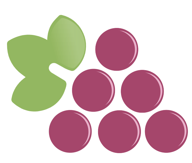 Les Bons Plans du Vin